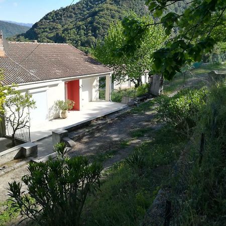 Rez De Villa Loreto-di-Tallano Exterior photo